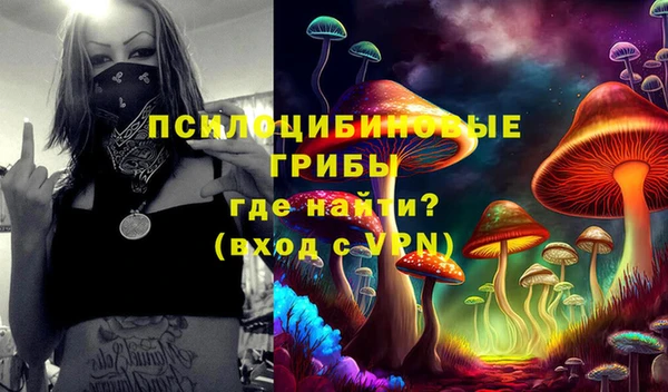 MDMA Premium VHQ Богородицк
