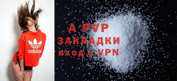 крисы Богданович