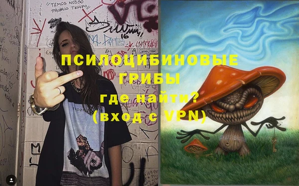 не бодяженный Белокуриха