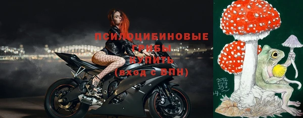 крисы Богданович
